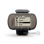 Garmin Foretrex 401