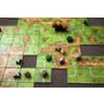 Игра Carcassonne