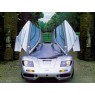 Supercar McLaren F1