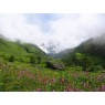 Valley of Flowers - Nanda Devi (Индия)